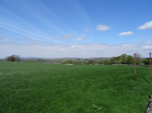 View from the road to Grassington