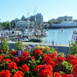 1704 destination victoria 740